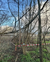 2025.01 vorher
